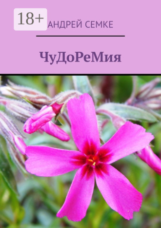 . ЧуДоРеМия
