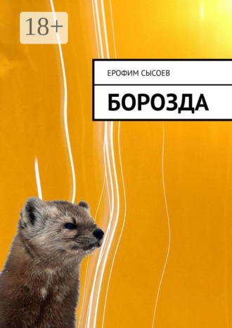 . Борозда