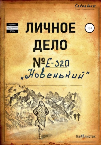 . Новенький