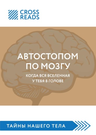 . Саммари книги «Автостопом по мозгу. Когда вся вселенная у тебя в голове»