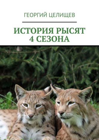 Георгий Целищев. История рысят. 4 сезона