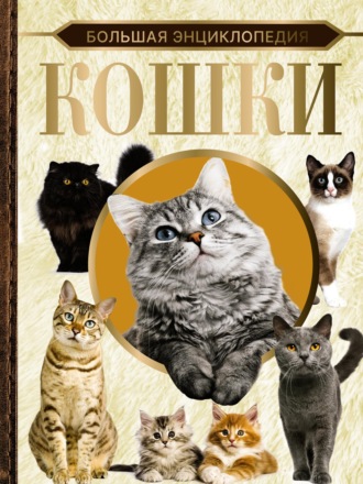Д. С. Смирнов. Большая энциклопедия. Кошки