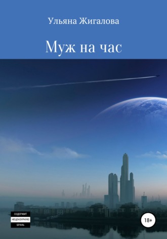 . Муж на час