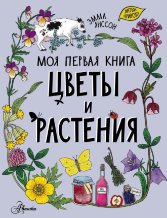 . Цветы и растения