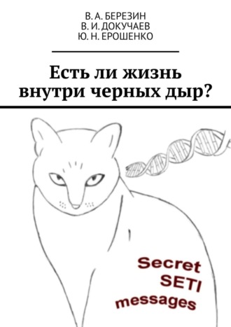 В. А. Березин. Есть ли жизнь внутри черных дыр?