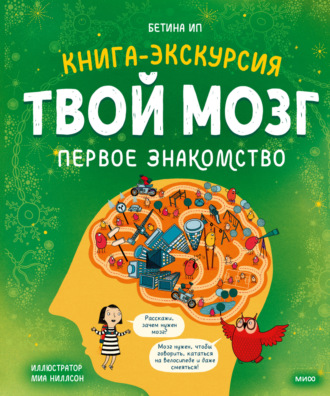 Бетина Ип. Твой мозг. Книга-экскурсия. Первое знакомство