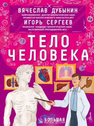 . Тело человека