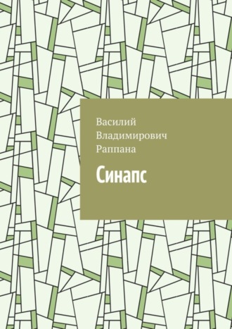 Василий Владимирович Раппана. Синапс