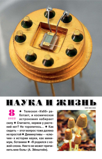 . Наука и жизнь №08/2022
