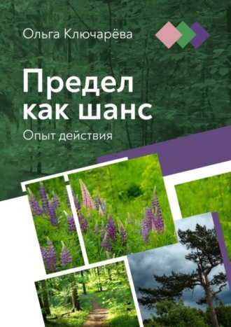 . Предел как шанс. Опыт действия