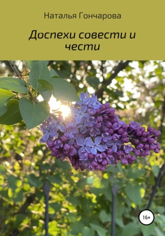 . Доспехи совести и чести