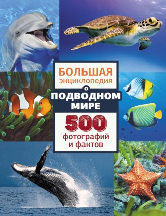 . Большая энциклопедия о подводном мире. 500 фотографий и фактов