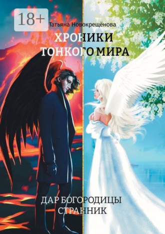 . Хроники тонкого мира. Дар Богородицы. Странник