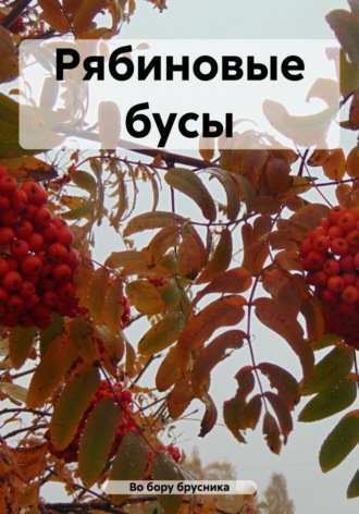 . Рябиновые бусы