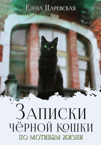 . Записки черной кошки. По мотивам жизни