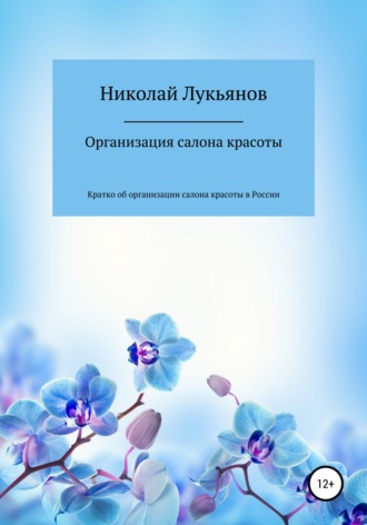 Николай Вячеславович Лукьянов. Организация салона красоты