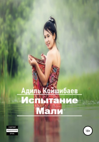 Адиль Койшибаев. Испытание Мали