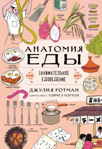 . Анатомия еды. Занимательное едоведение