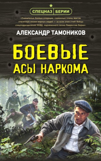 . Боевые асы наркома