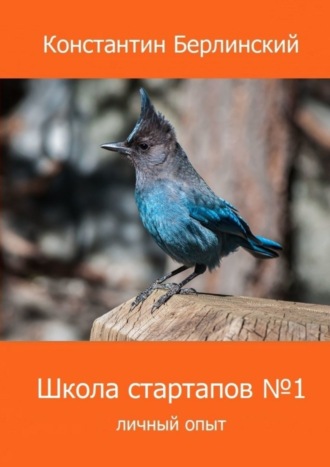 Константин Константинович Берлинский. Школа стартапов №1: Личный опыт. 2-ое издание с иллюстрациями