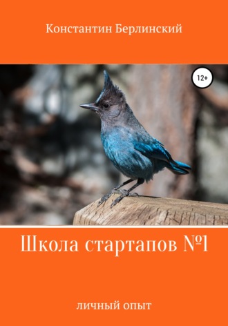 Константин Константинович Берлинский. Школа стартапов №1: Личный опыт