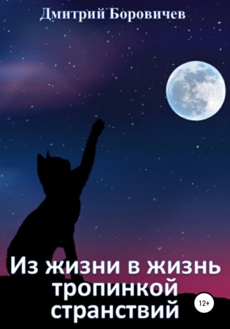Дмитрий Боровичев. Из жизни в жизнь тропинкой странствий