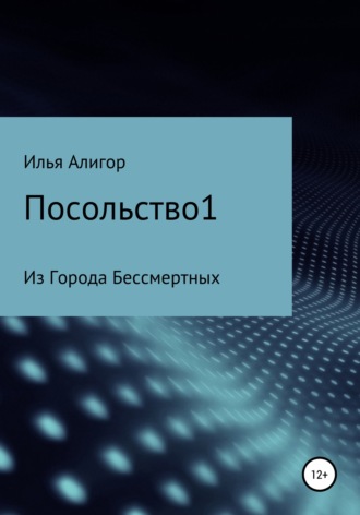 . Посольство1