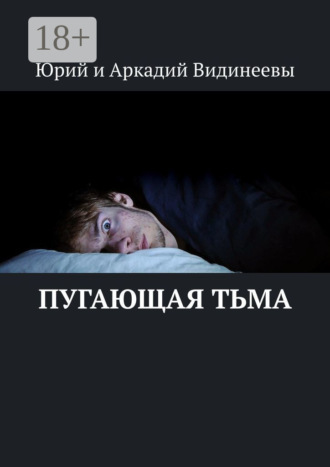 Юрий и Аркадий Видинеевы. Пугающая тьма