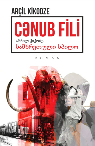 . CƏNUB FİLİ