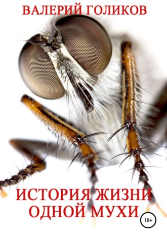 . История жизни одной Мухи