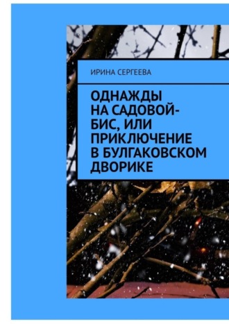 . Однажды на Садовой-бис, или Приключение в Булгаковском дворике