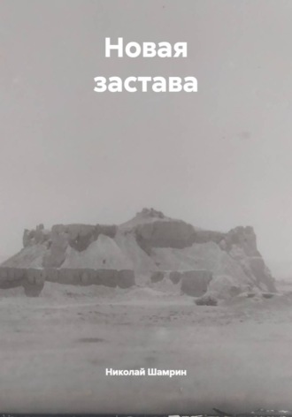 Николай Шамрин. Новая застава