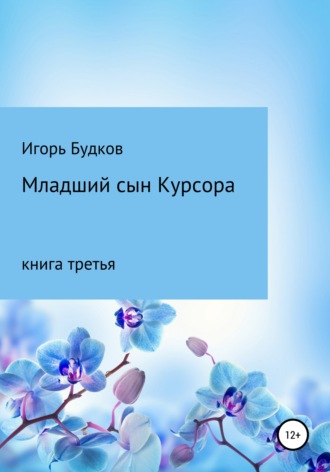 Игорь Алексеевич Будков. Младший сын Курсора