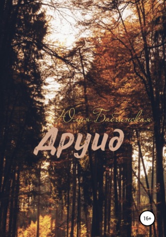 . Друид