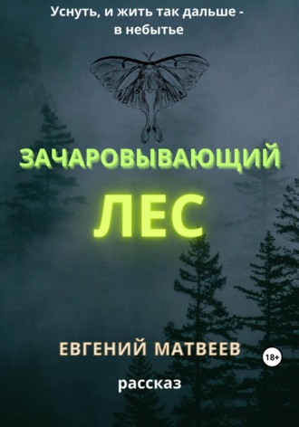 . Зачаровывающий лес
