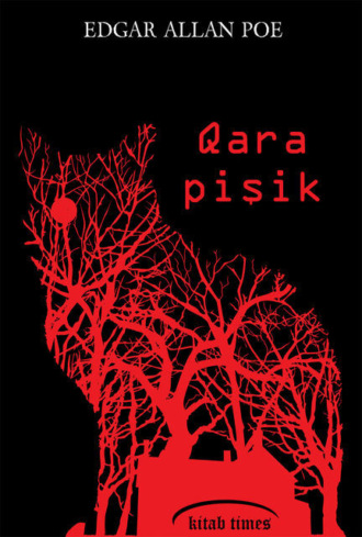 . Qara pişik