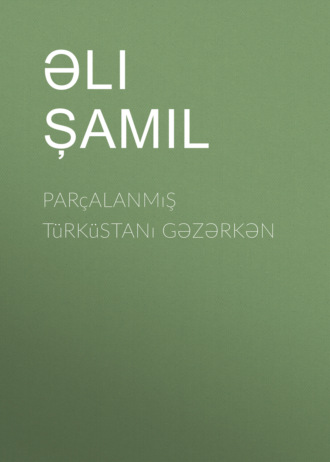 Али Шамиль. Parçalanmış Türküstanı gəzərkən