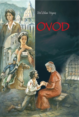 . Ovod