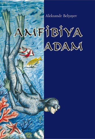 . Amfibiya adam