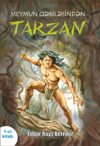 . Meymun qəbiləsindən Tarzan 1