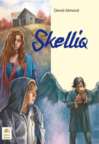Дэвид Алмонд. Skelliq