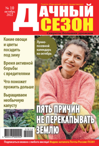 . Дачный сезон №10/2022
