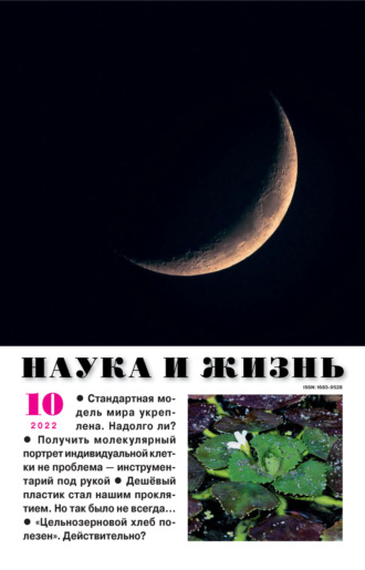. Наука и жизнь №10/2022