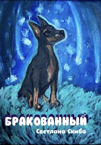 Светлана Скиба. Бракованный