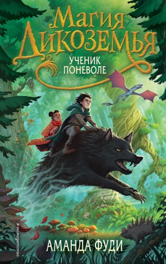 Аманда Фуди. Ученик поневоле