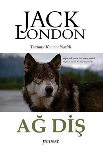 . Ağ diş