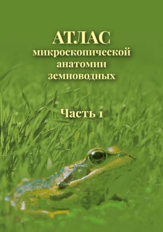 . Атлас микроскопической анатомии земноводных. Часть 1