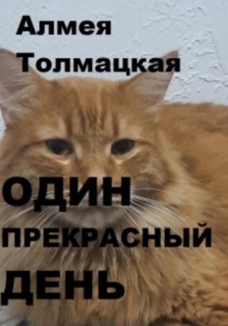 Алмея Толмацкая. Один прекрасный день
