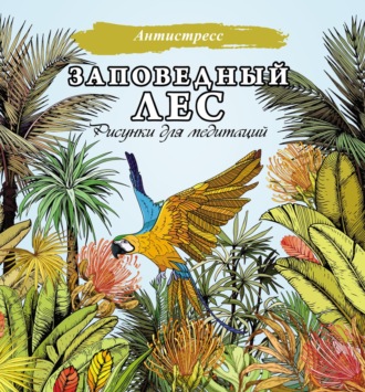 . Заповедный лес. Рисунки для медитаций