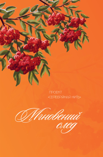 . Мгновений след